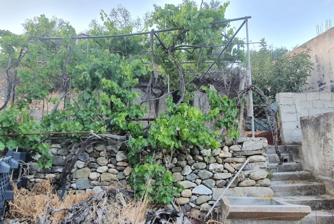 Land Plot with farm house in Agia Galini.