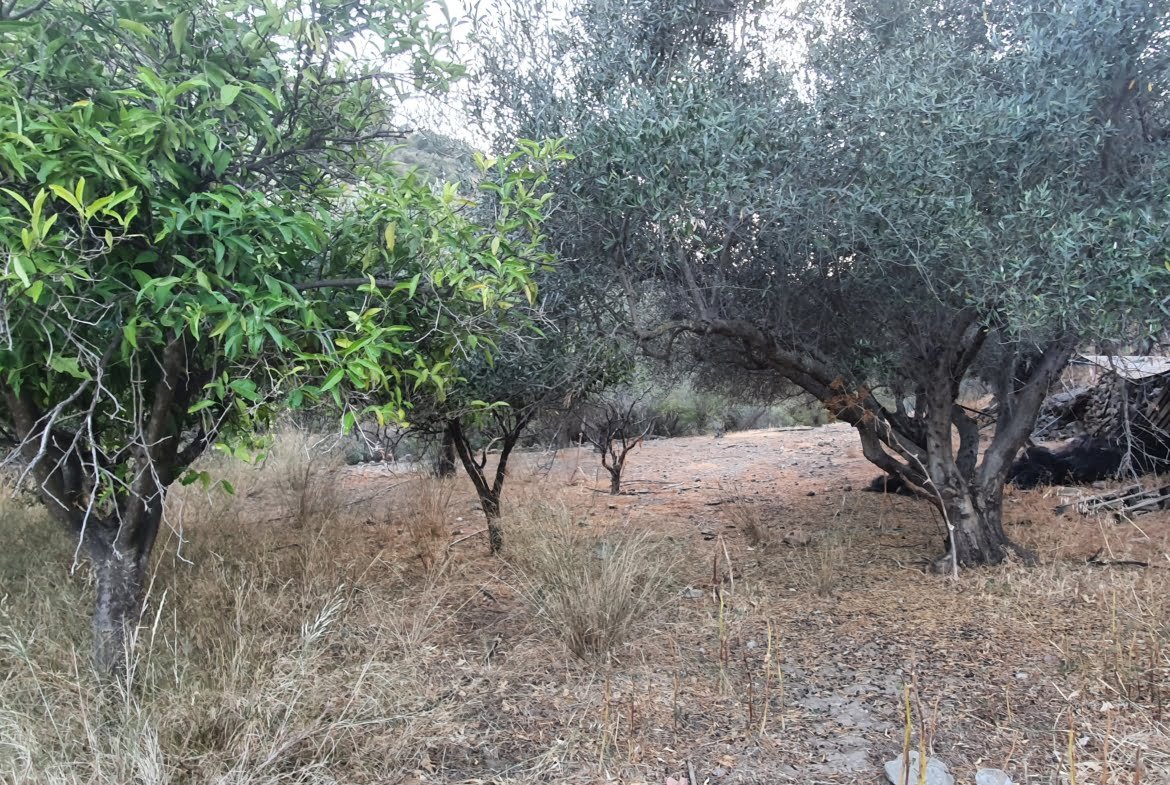 Land Plot with farm house in Agia Galini.