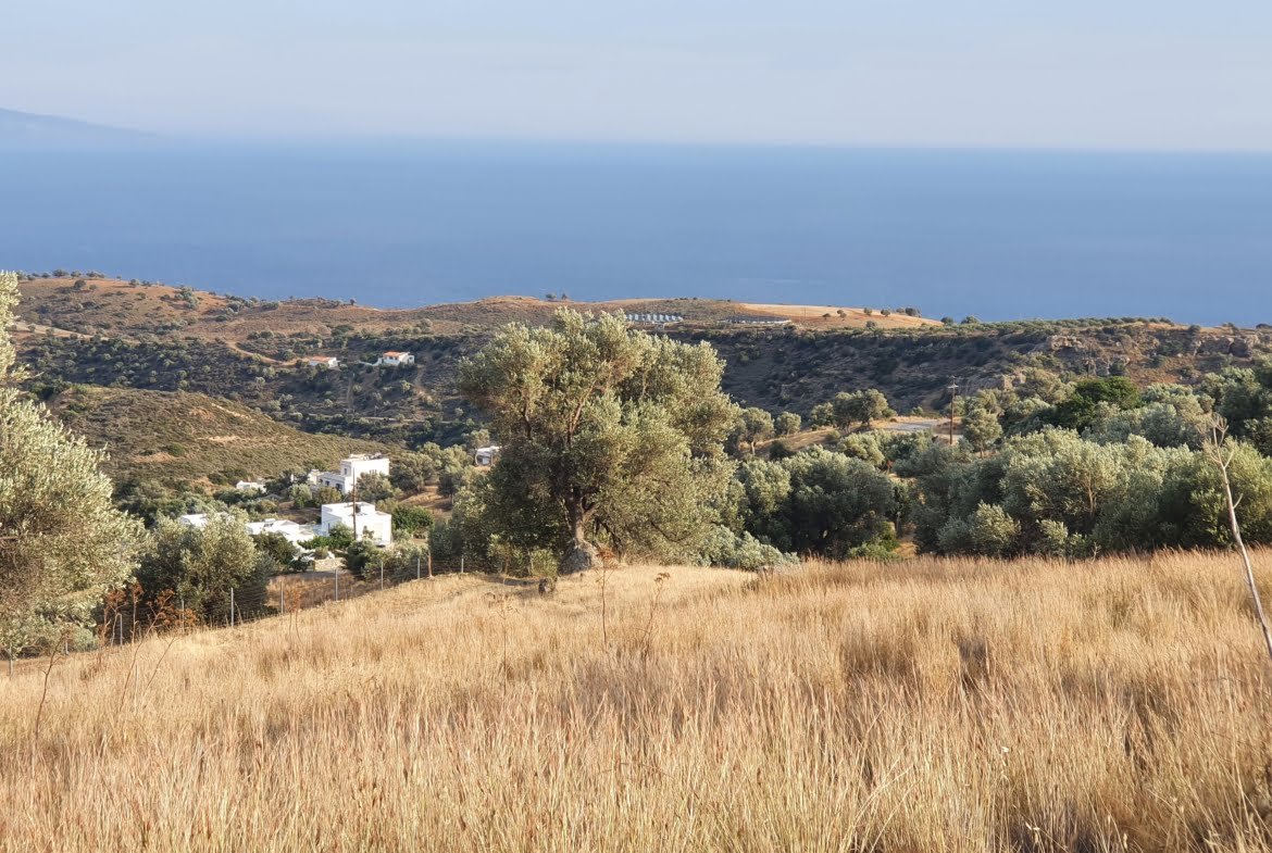 Sea view plot for sale in the area of Agia Galini.