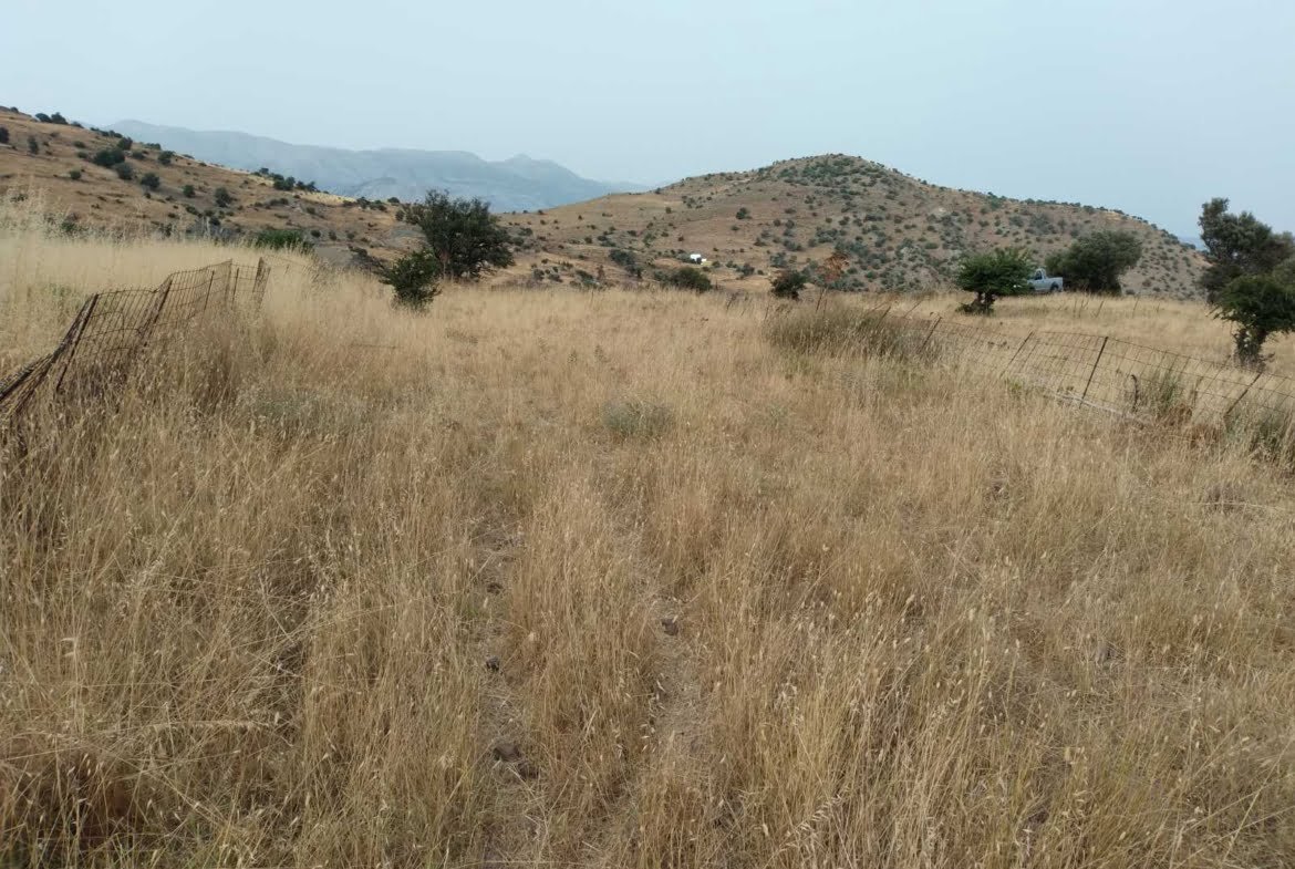 3 plots in Melampes.