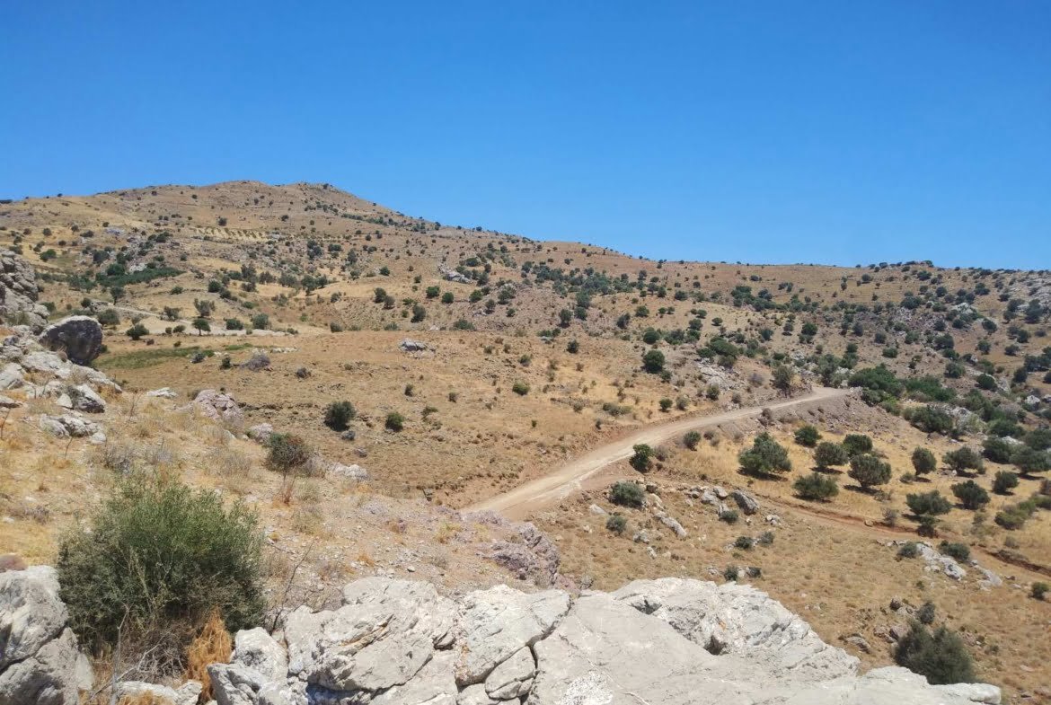 Large Plot near Agios Pavlos