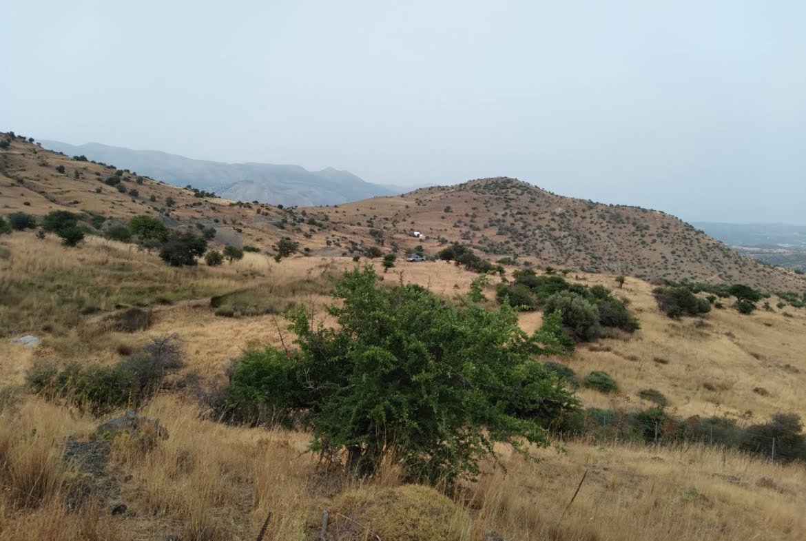3 plots in Melampes.