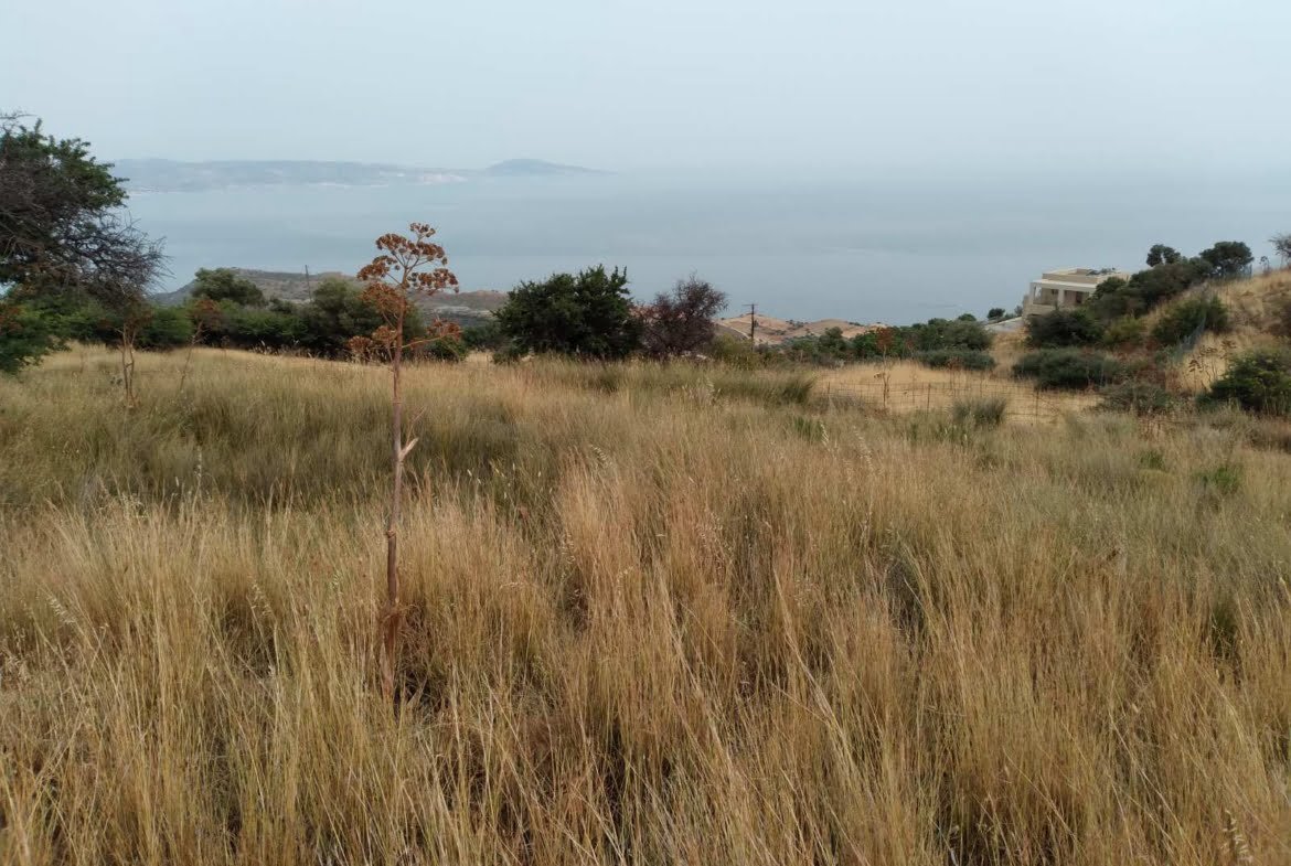 3 plots in Melampes.