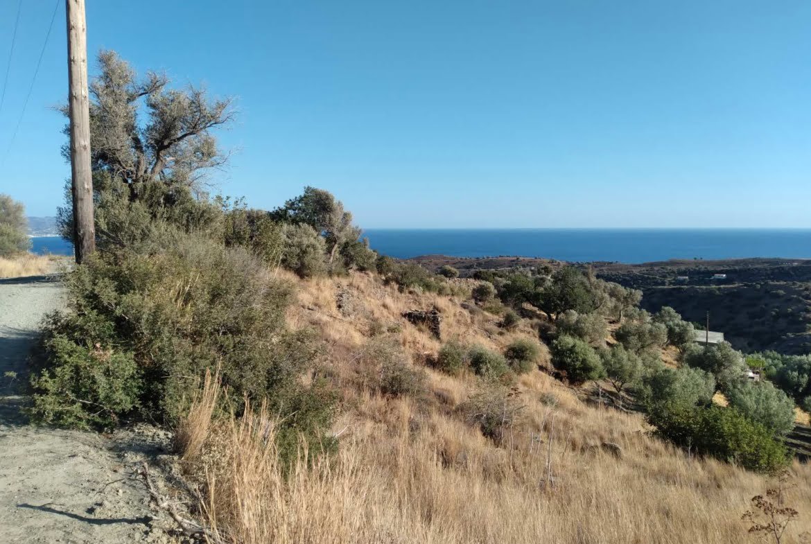 Sea view field in the area of Agia Galini.