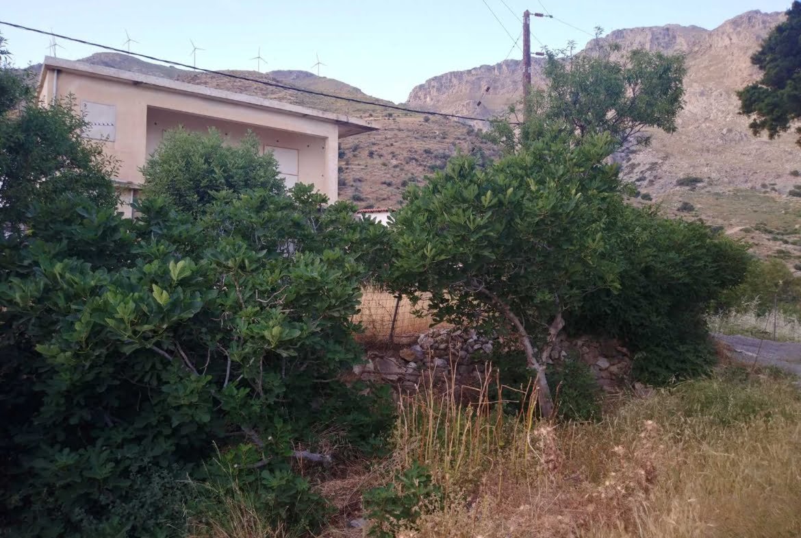 Plot within the settlement of Agalianos.