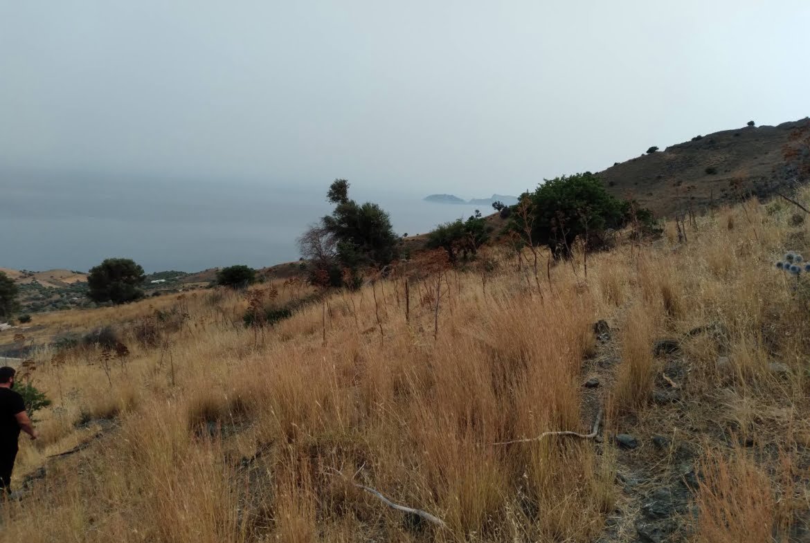 3 plots in Melampes.