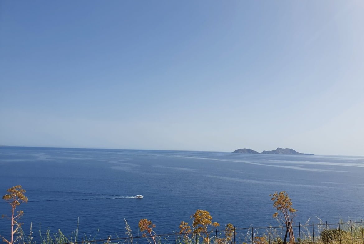 Field with a panoramic view in Sactouria.
