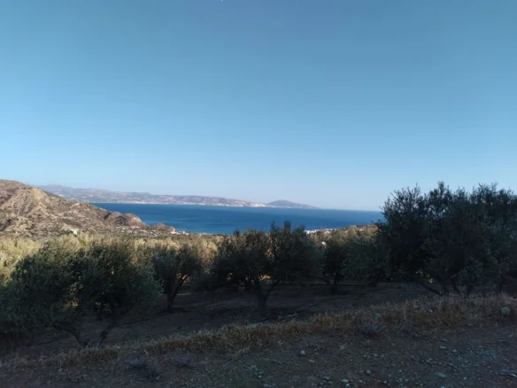10.000 sq.m.plot for sale.
