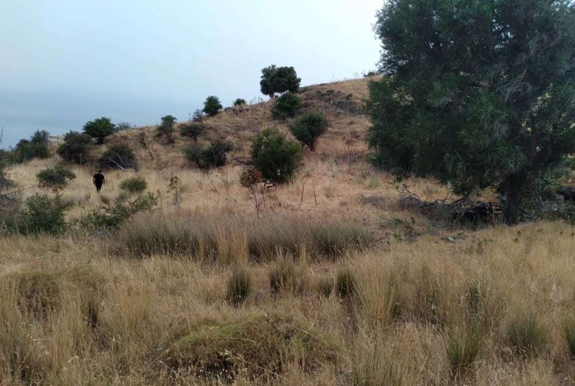 3 plots in Melampes.