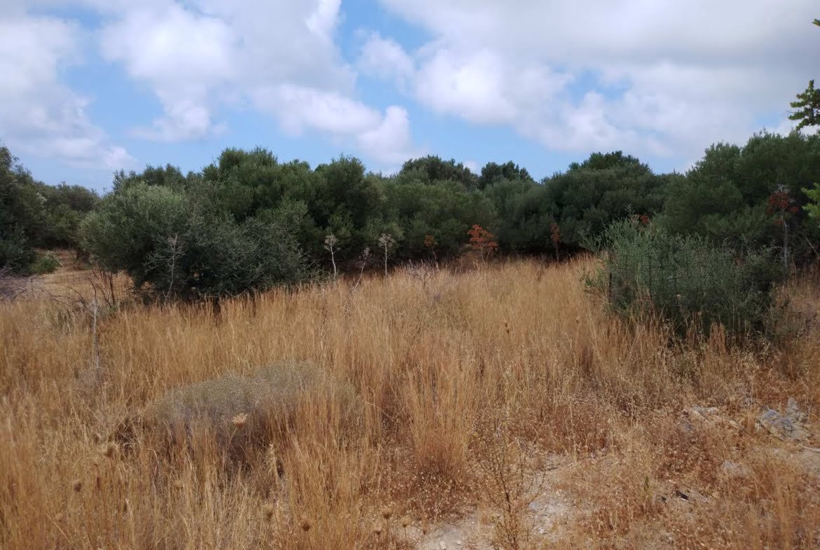 Land of 5.000 sq.m. in Agios Pavlos.