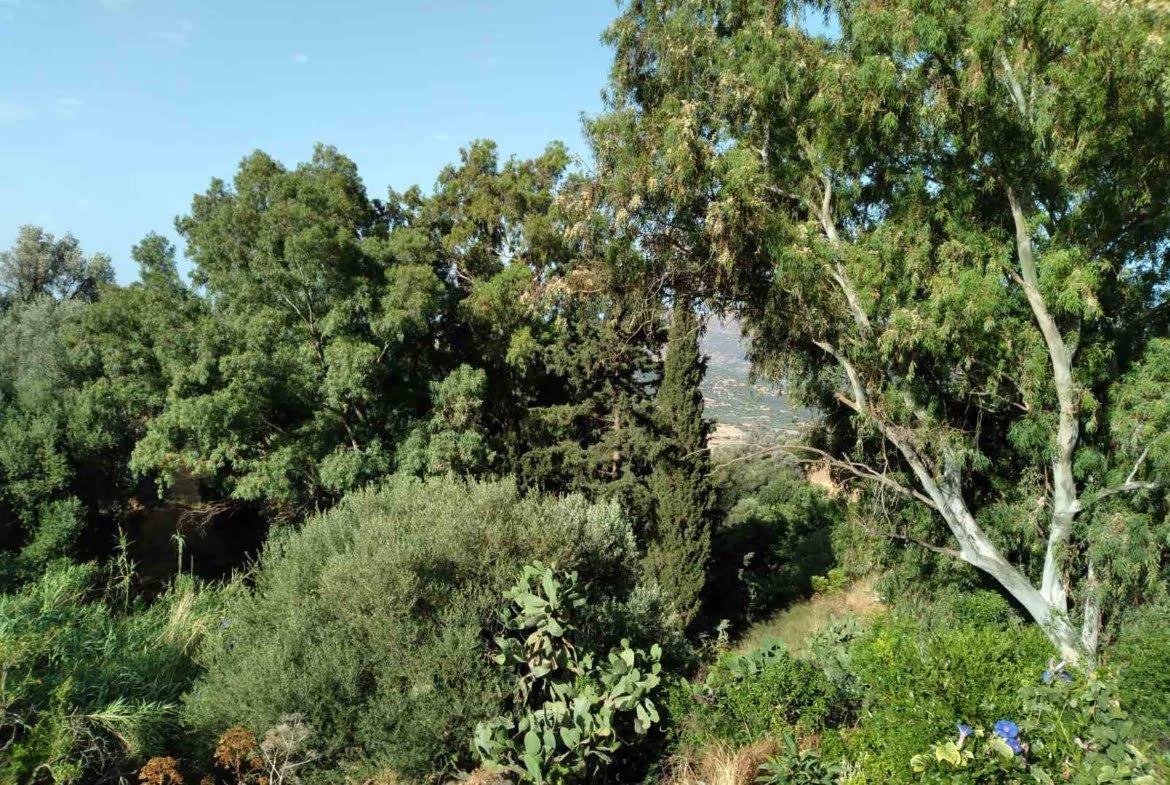 Traditional house in Apodoulou.