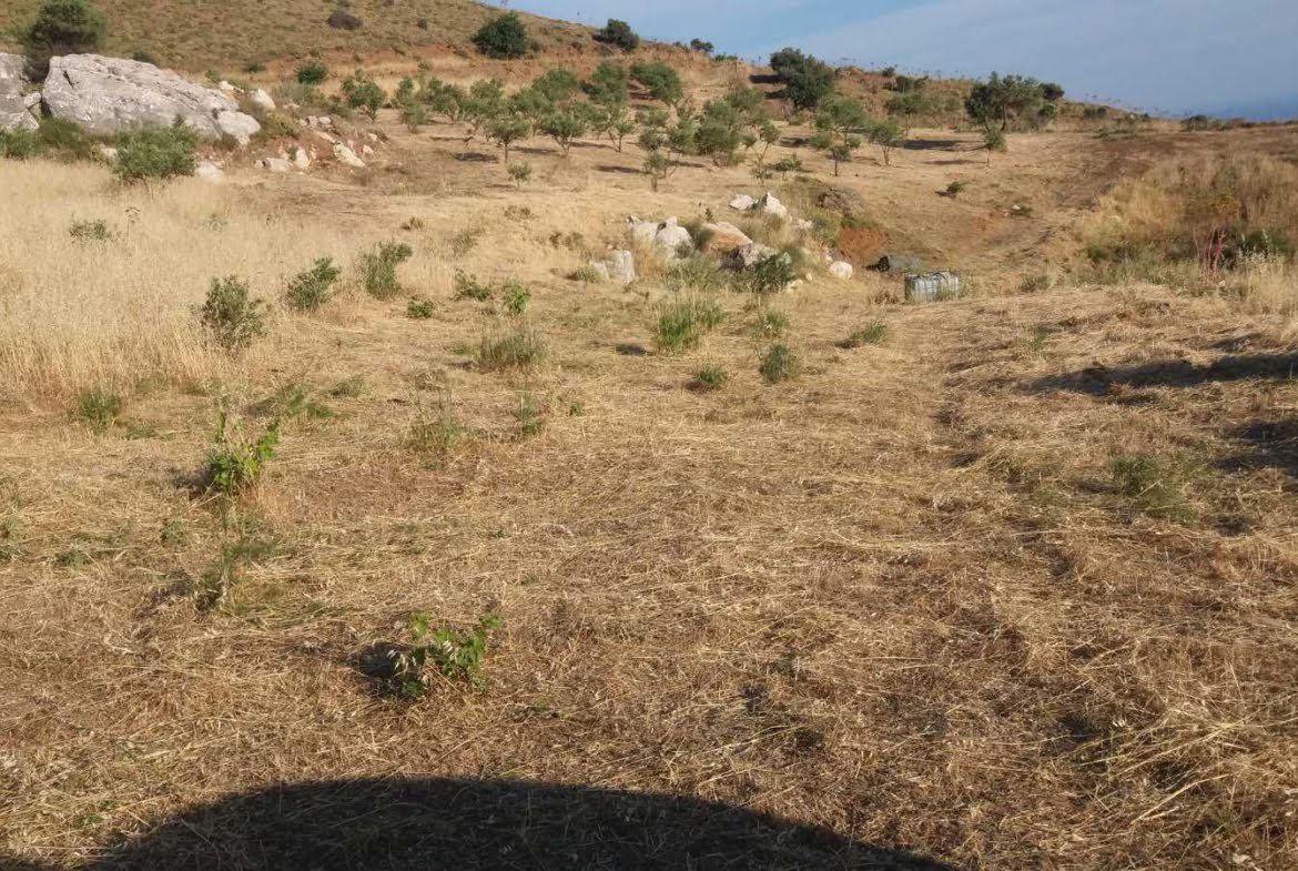 Field with a panoramic view in Sactouria.