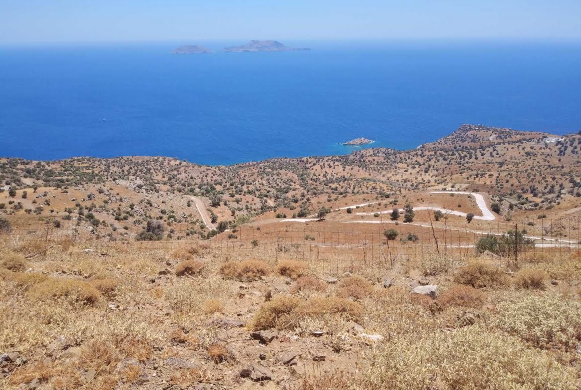 Large Plot near Agios Pavlos