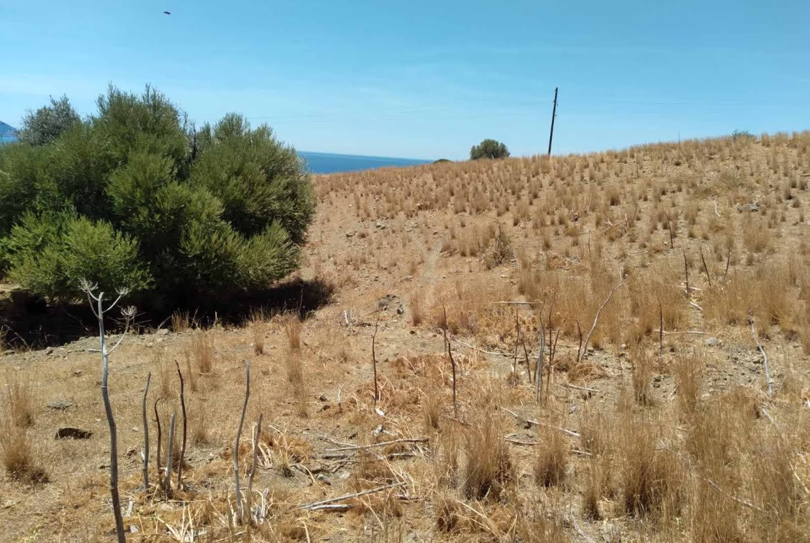 Sea view plot in Agios Pavlos.