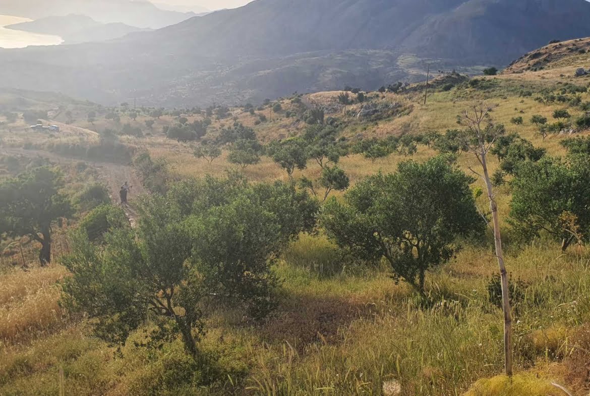 Field with a panoramic view in Sactouria.
