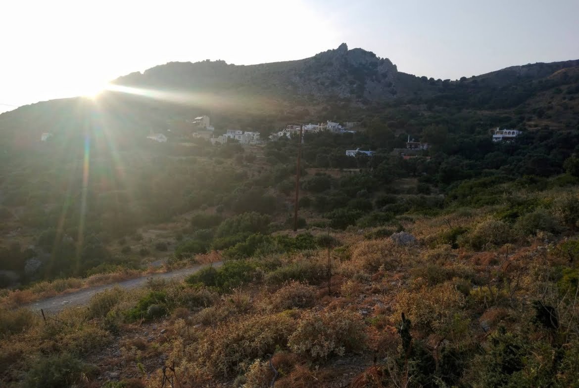 Field in the area of Agalianos.