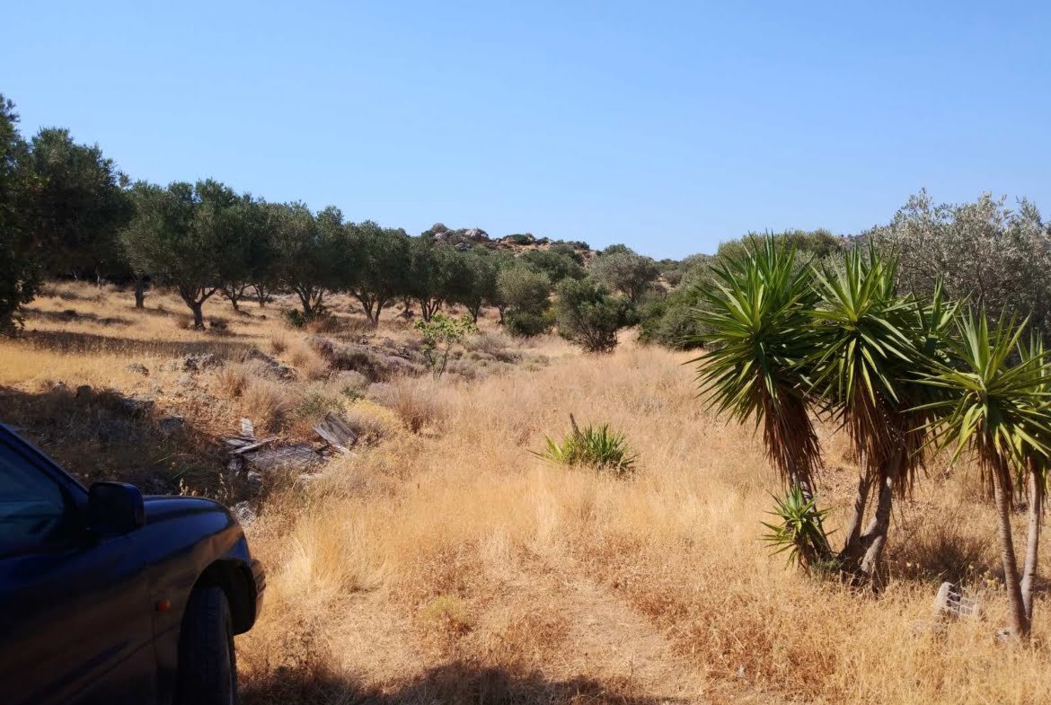 Large plot of 70.000 sq.m. with building in the area of Agia Galini
