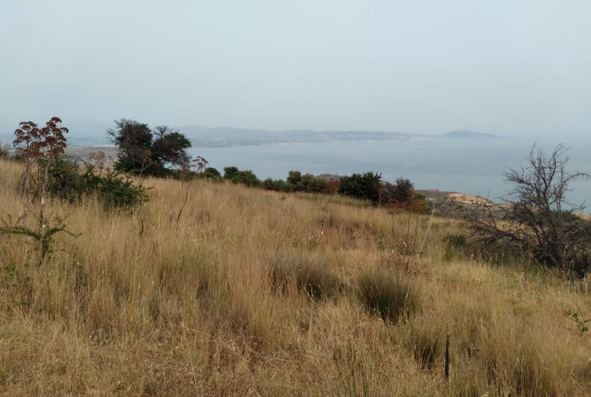 3 plots in Melampes.