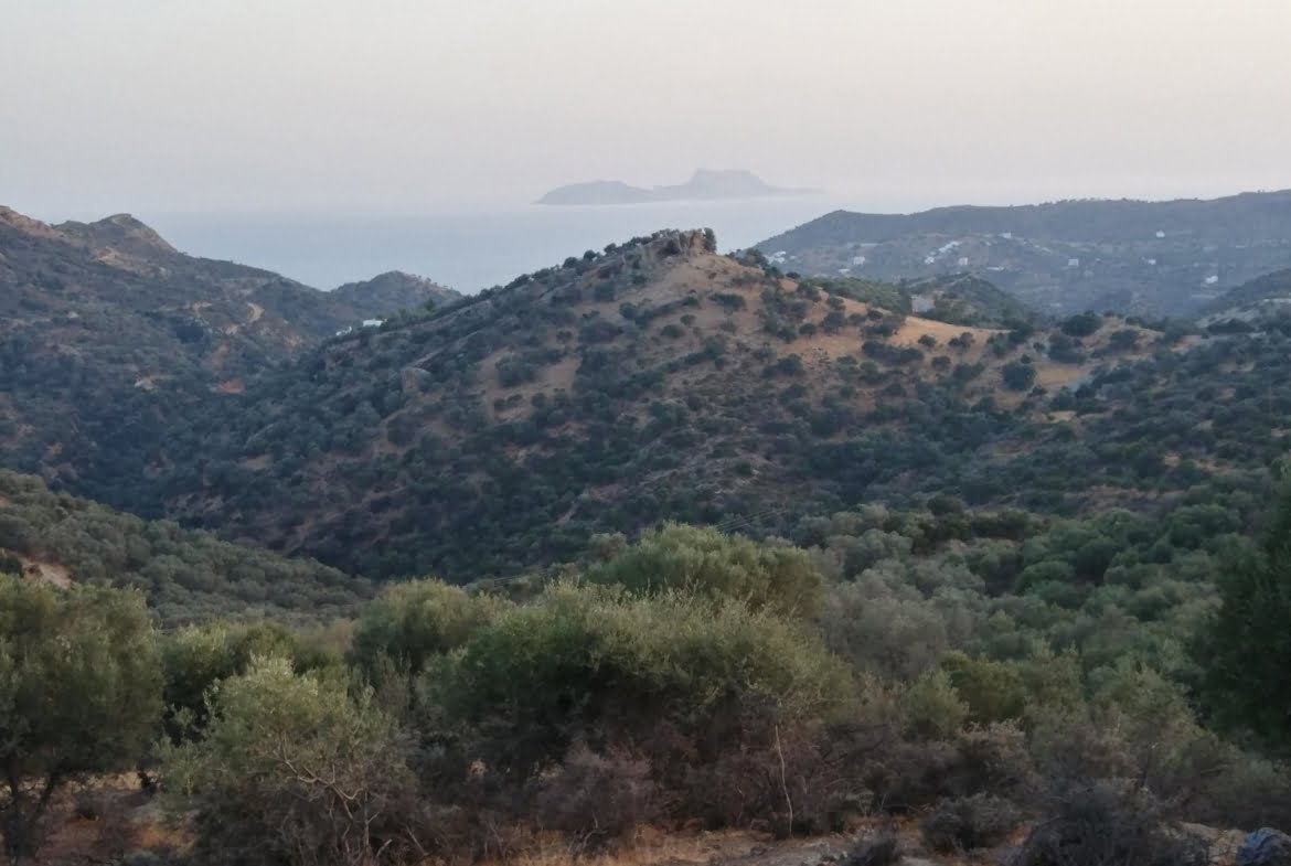 Field for sale in Agia Galini.