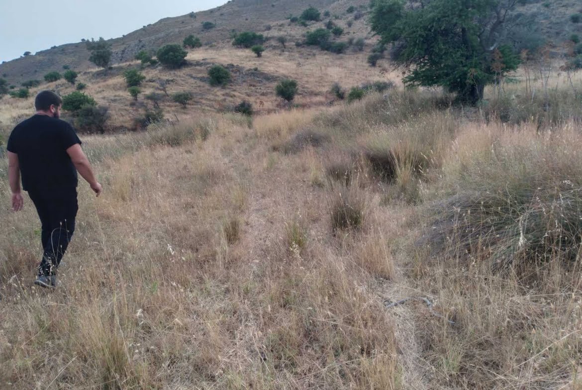 3 plots in Melampes.
