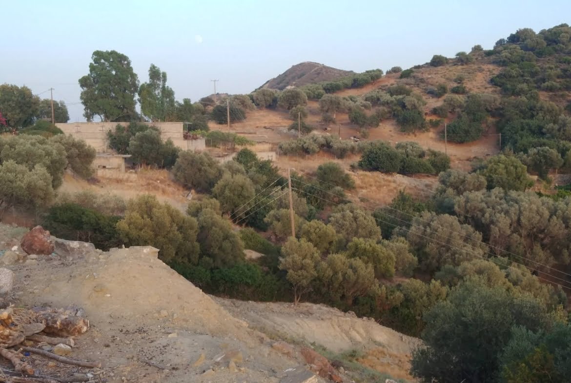 Field for sale in Agia Galini.