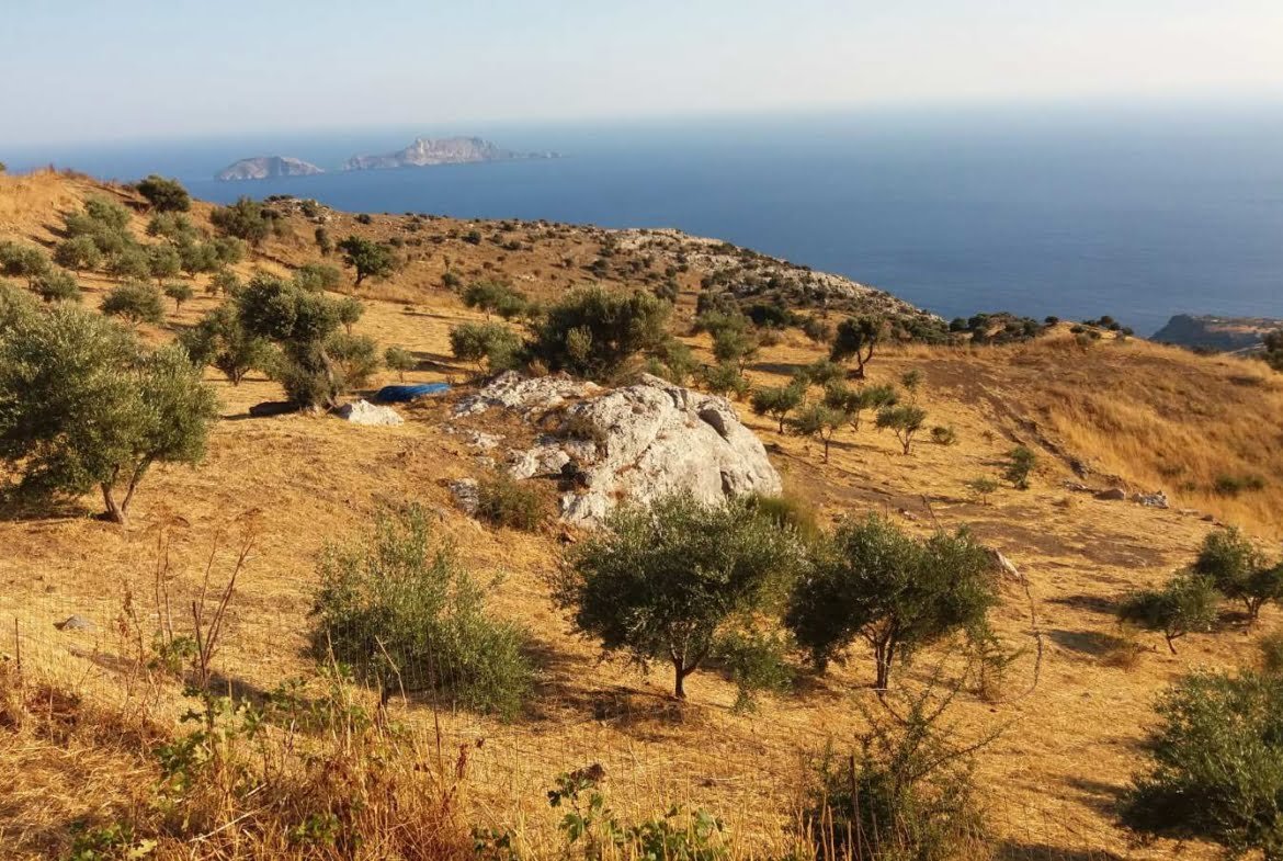 Field with a panoramic view in Sactouria.