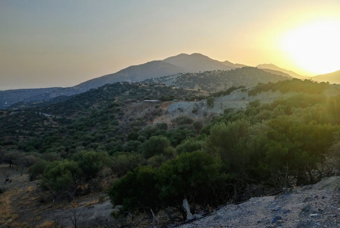 Field for sale in Agia Galini.