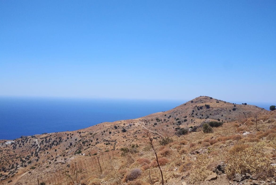 Large Plot near Agios Pavlos