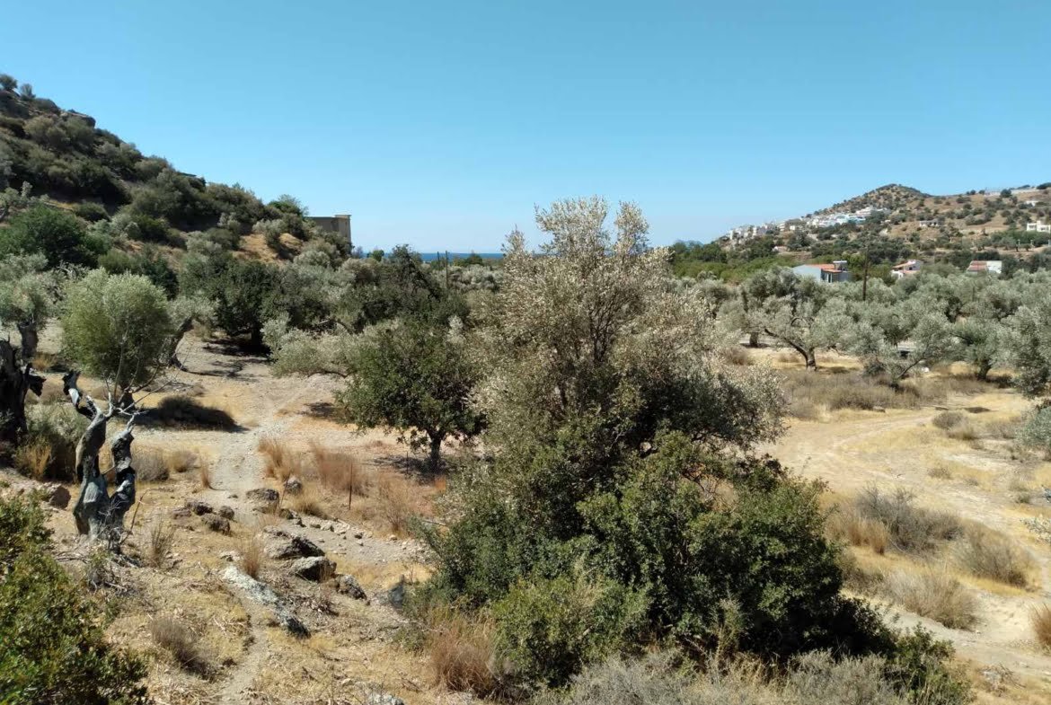 4.700 sq.m. plot of land in Agia Galini.