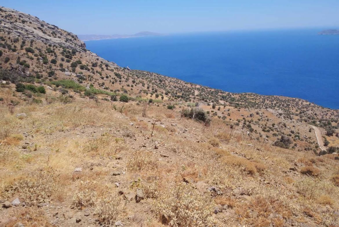 Large Plot near Agios Pavlos