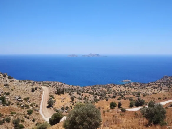 Land plot for sale