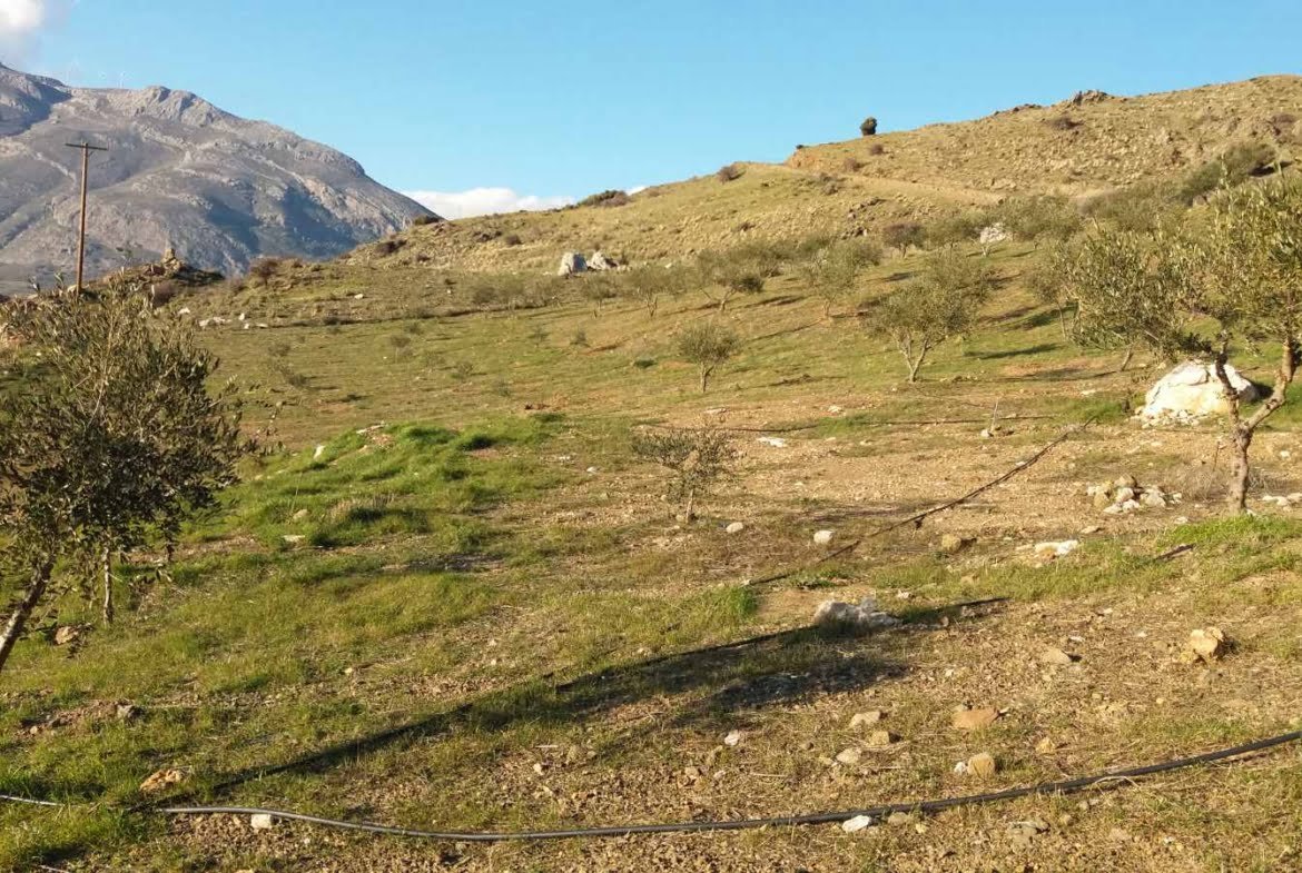 Field with a panoramic view in Sactouria.