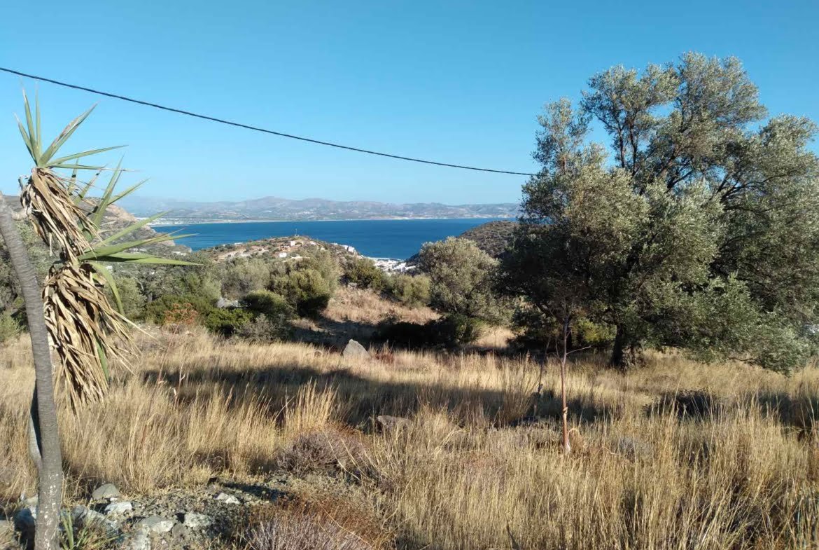 12.000 sq.m. field in Lenikos Harakas.