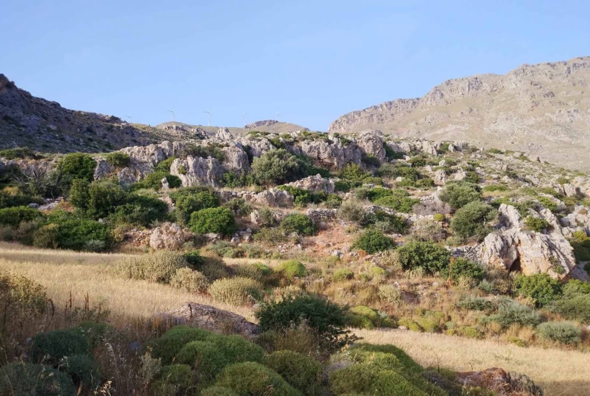 Large plot in Kerame.