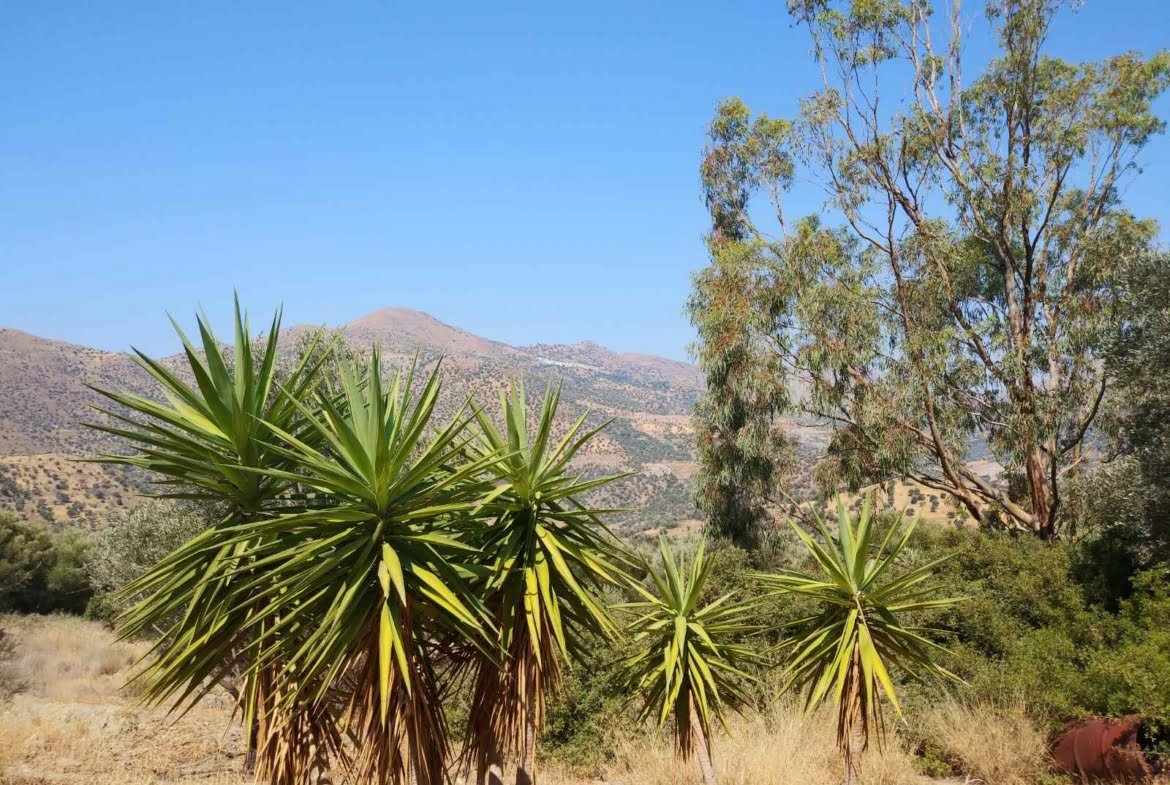 Large plot of 70.000 sq.m. with building in the area of Agia Galini