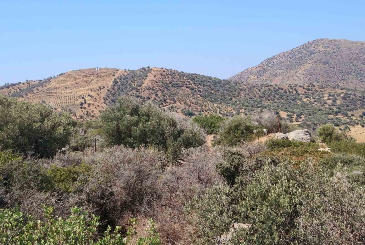 Large plot of 70.000 sq.m. with building in the area of Agia Galini