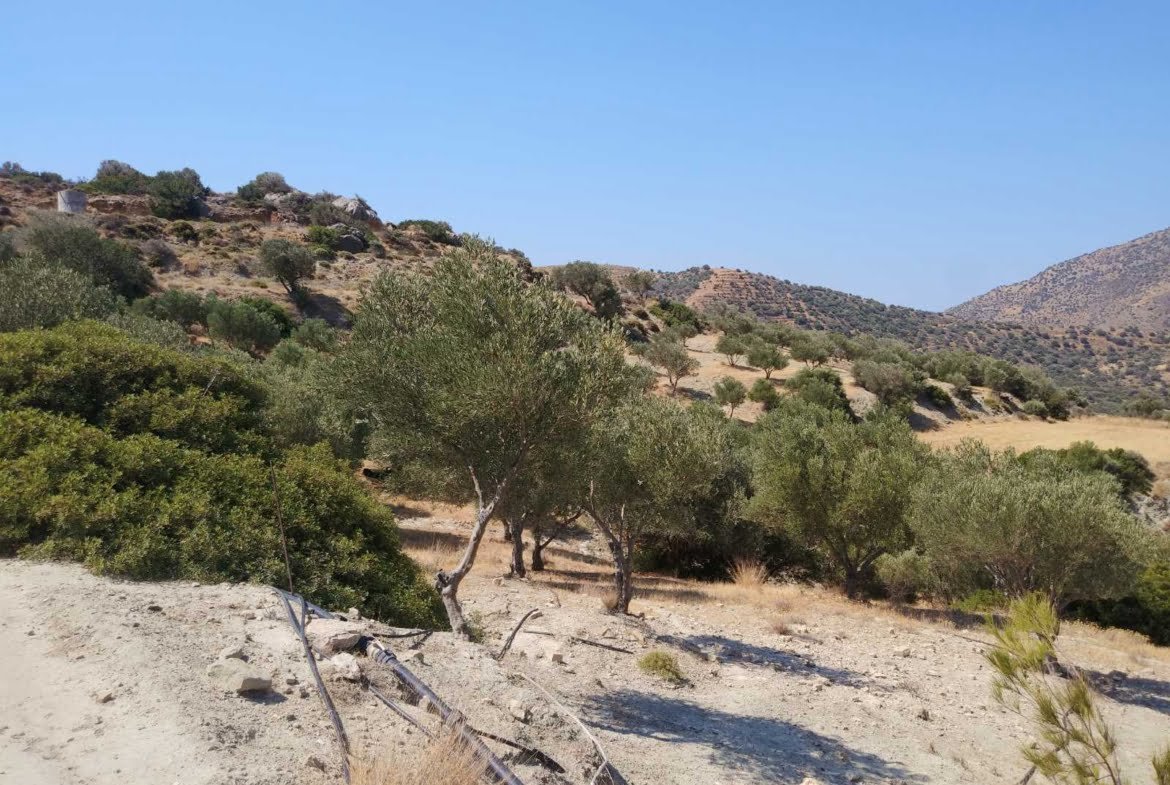 Large plot of 70.000 sq.m. with building in the area of Agia Galini