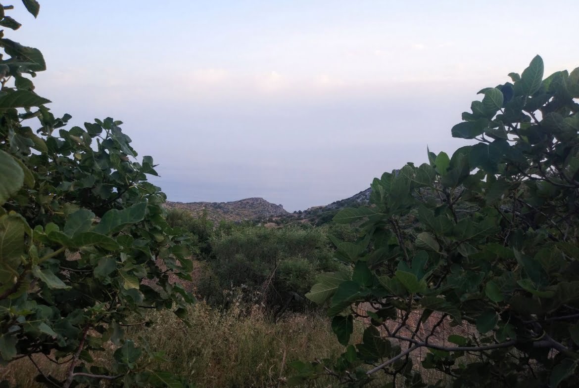 Plot within the settlement of Agalianos.
