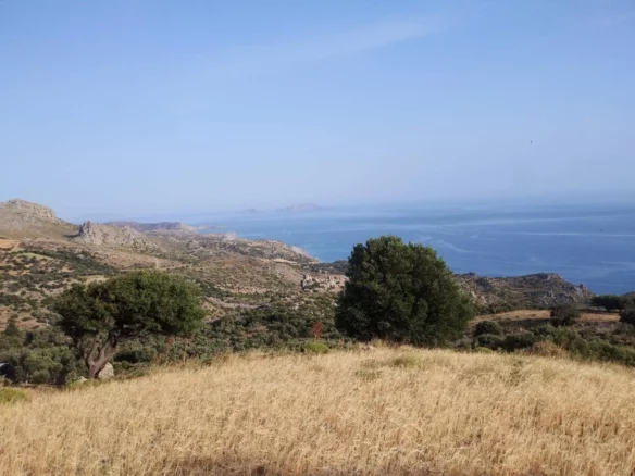 Large plot in Kerame.