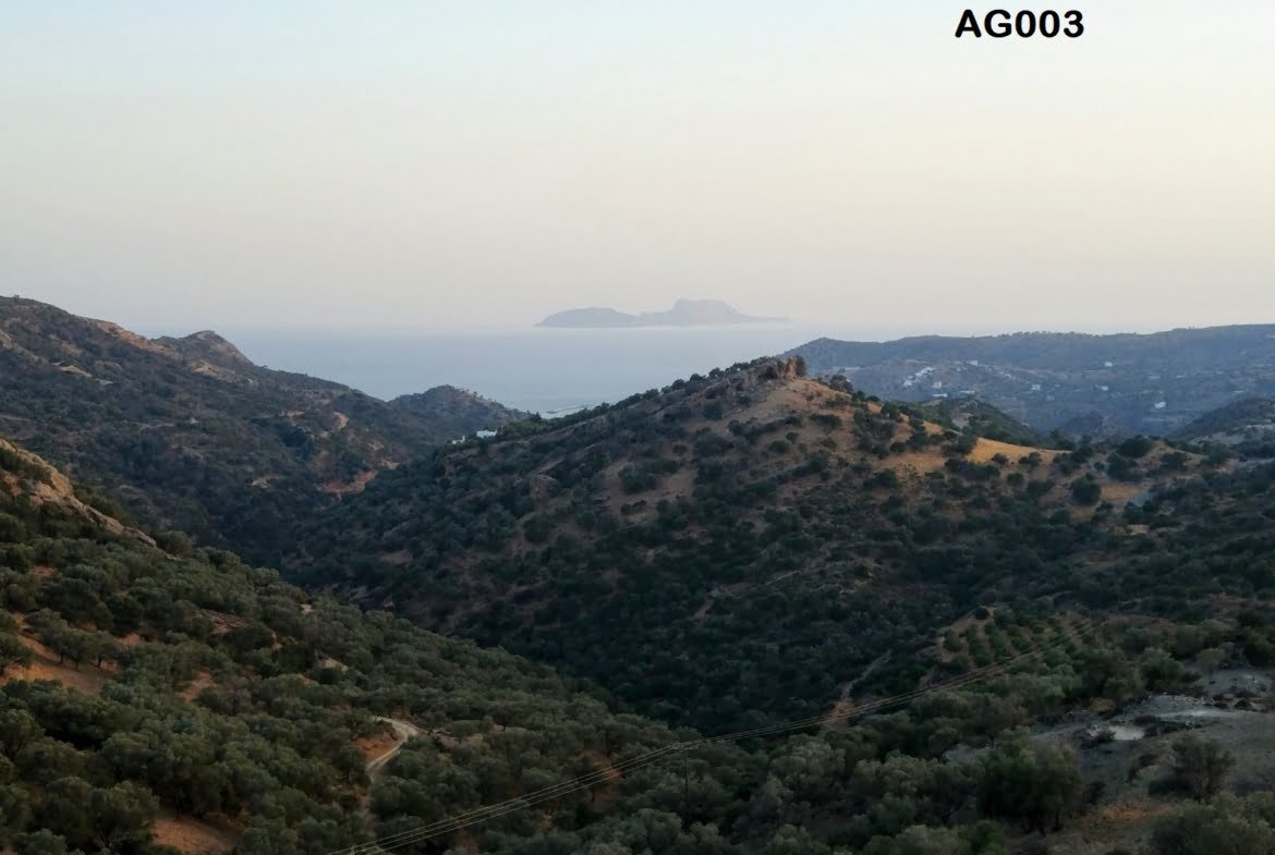 Field for sale in Agia Galini.