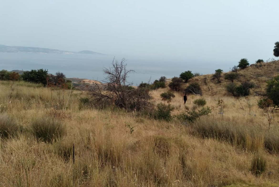3 plots in Melampes.