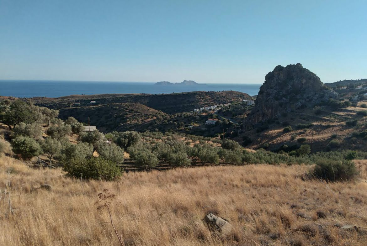 Sea view field in the area of Agia Galini.