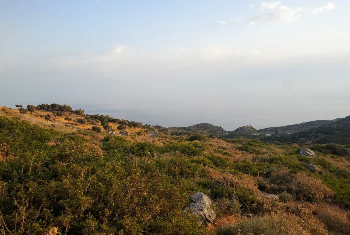 Field in the area of Agalianos.