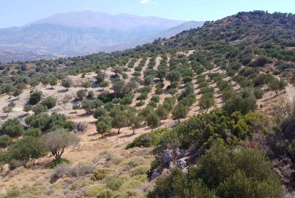 Large plot of 70.000 sq.m. with building in the area of Agia Galini