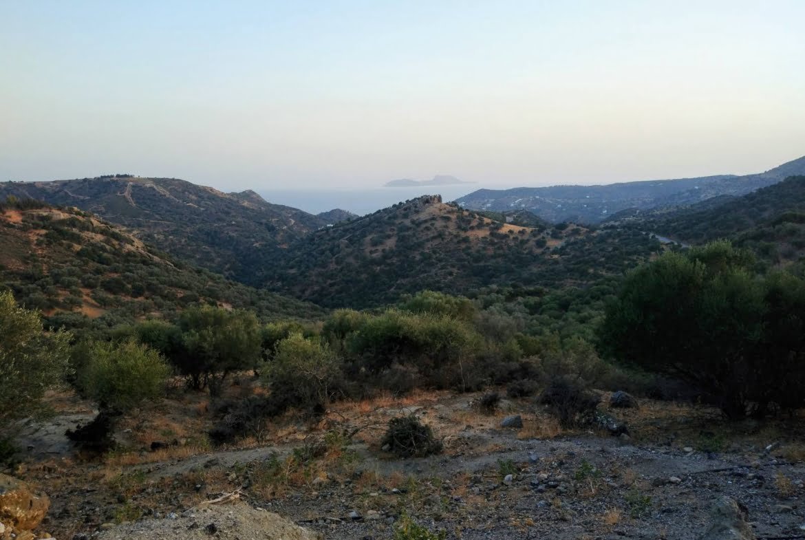 Field for sale in Agia Galini.