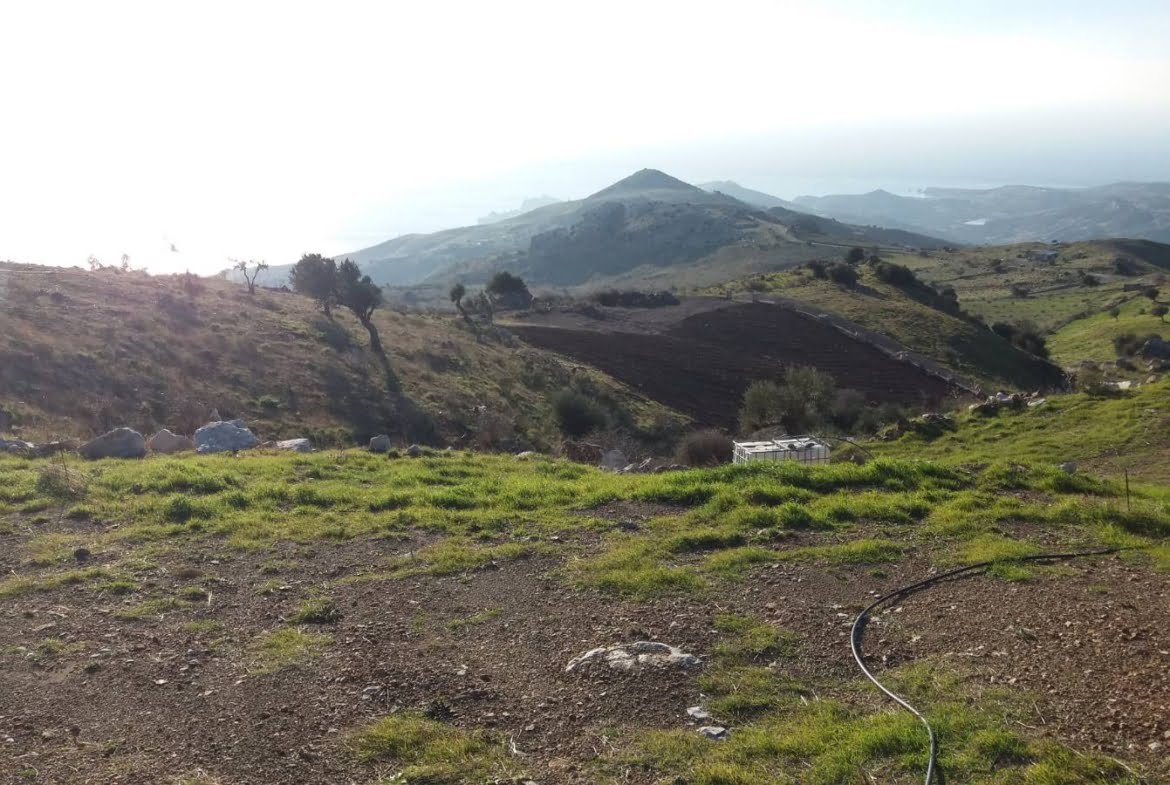 Field with a panoramic view in Sactouria.