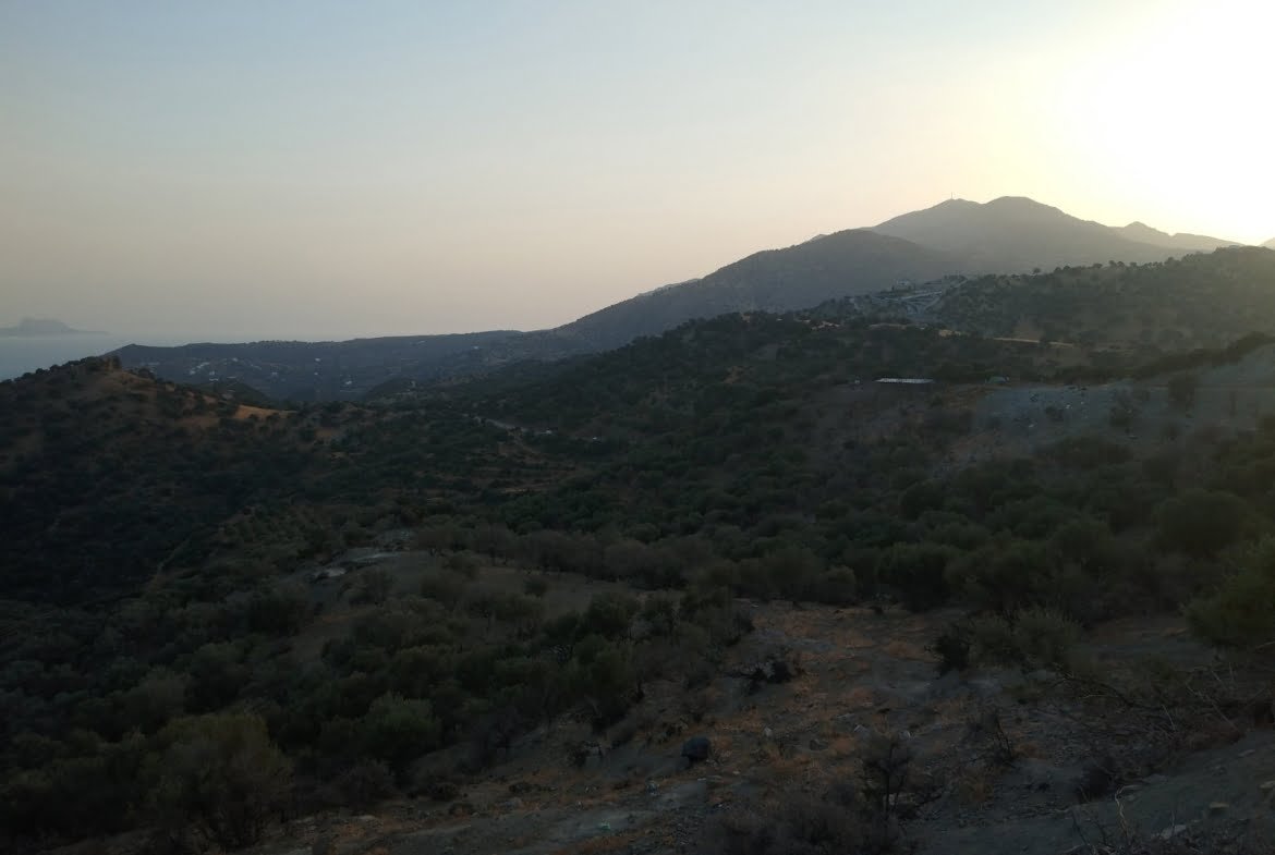 Field for sale in Agia Galini.