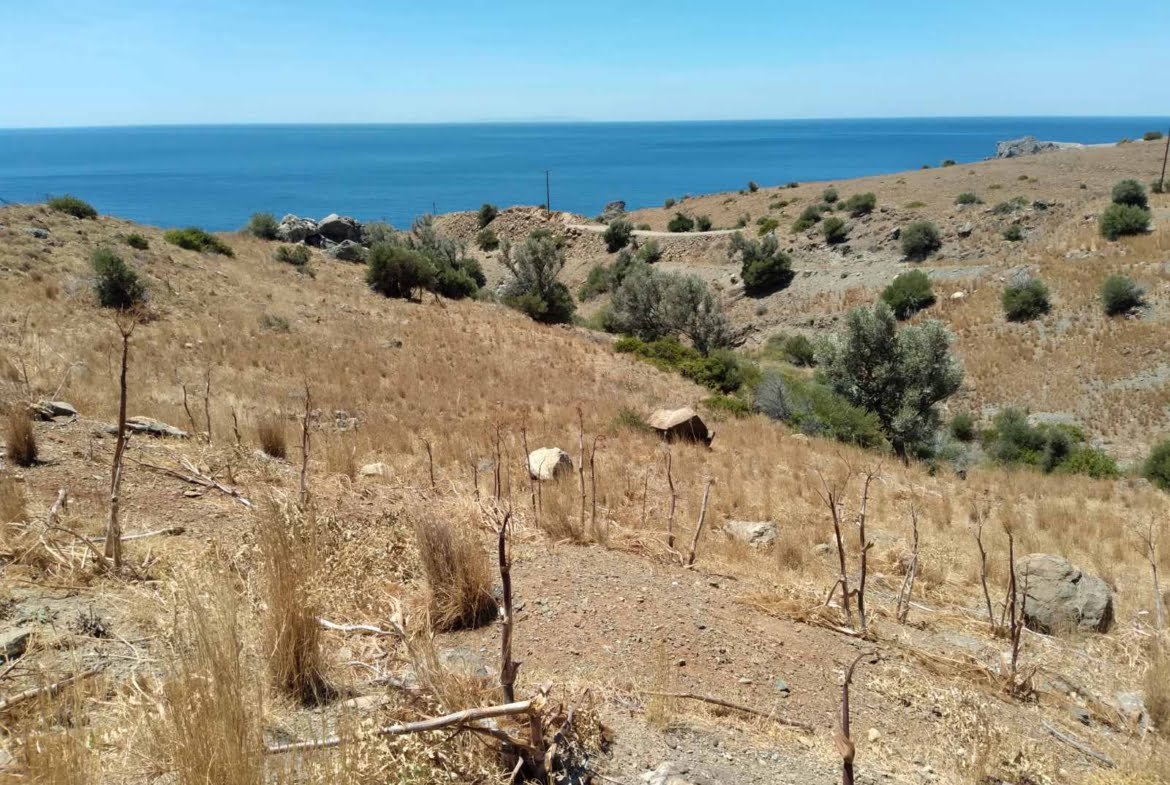 Plot overlooking the libyan sea.