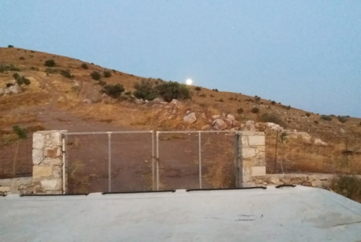 Field with a panoramic view in Sactouria.