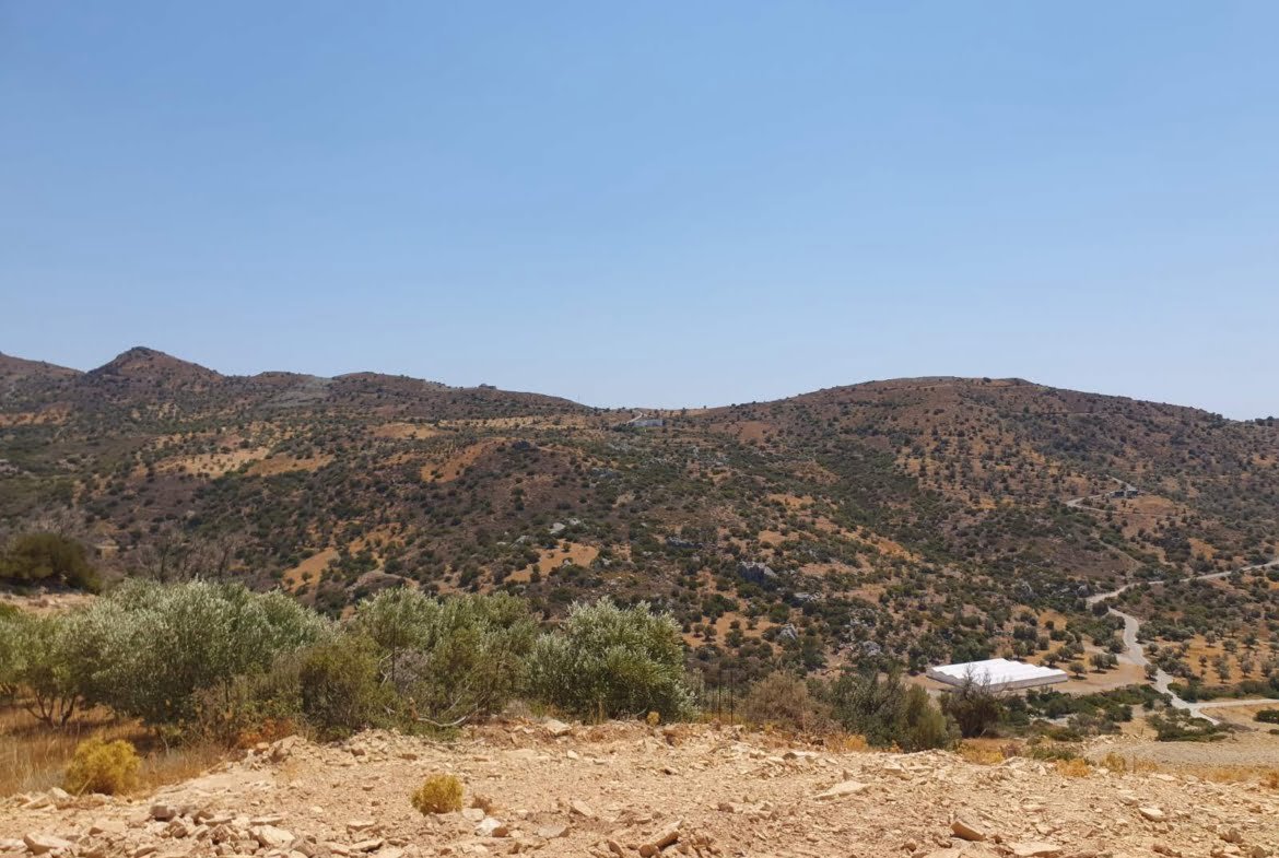 Land of 20.000 sq.m. in the area of Triopetra.